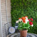 Апартаменты Casa Emilia *